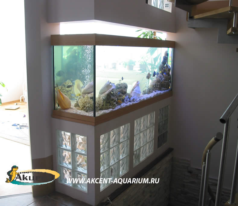 Акцент-аквариум, аквариум просмотровый 800 литров вид со стороны лестницы